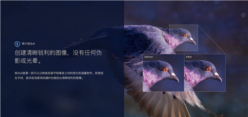 图片[1]-Topaz Sharpen Al  AI智能图片清晰锐化-广告人服务站-为广告人提供便捷服务