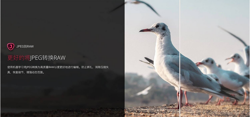 图片[1]-TopaZ JPEG tO RAW AI  AI智能JPEG转RAW恢复颜色细节-广告人服务站-为广告人提供便捷服务