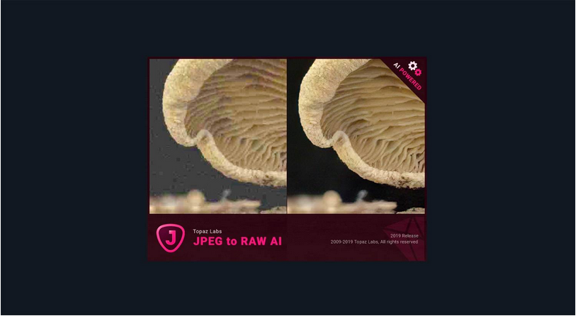 图片[2]-TopaZ JPEG tO RAW AI  AI智能JPEG转RAW恢复颜色细节-广告人服务站-为广告人提供便捷服务