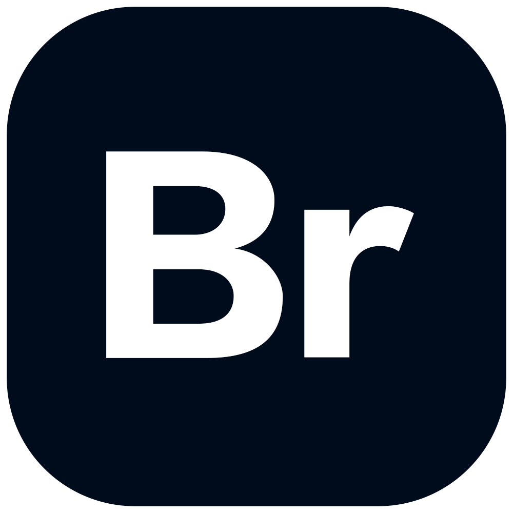 Br图标